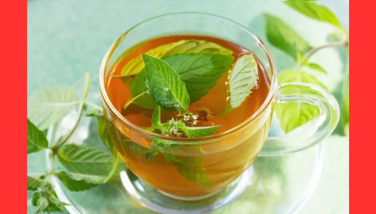 Peppermint tea in the image